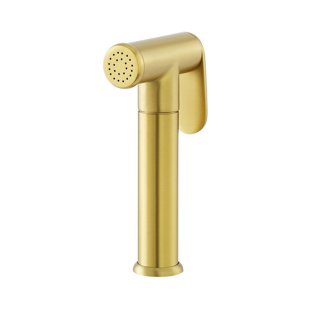 Side sprayer in brushed gold finish, cylindrical shape with perforated nozzle and smooth lever handle.