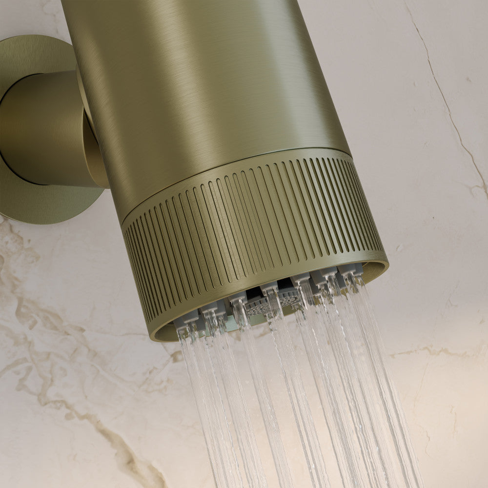 Lumiere 2-Spray Patterns 2.5 GPM Wall Mount Fixed Shower Head in Brushed Gold