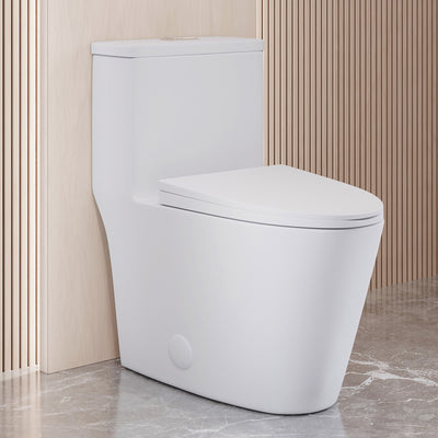 Elongated one-piece toilet in white with dual flush and smooth skirted trapway design.