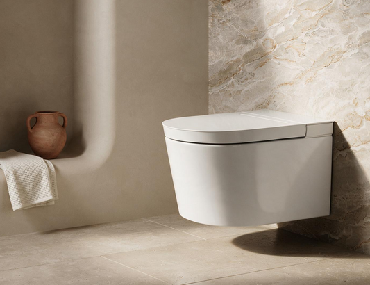 Toilet Buying Guide