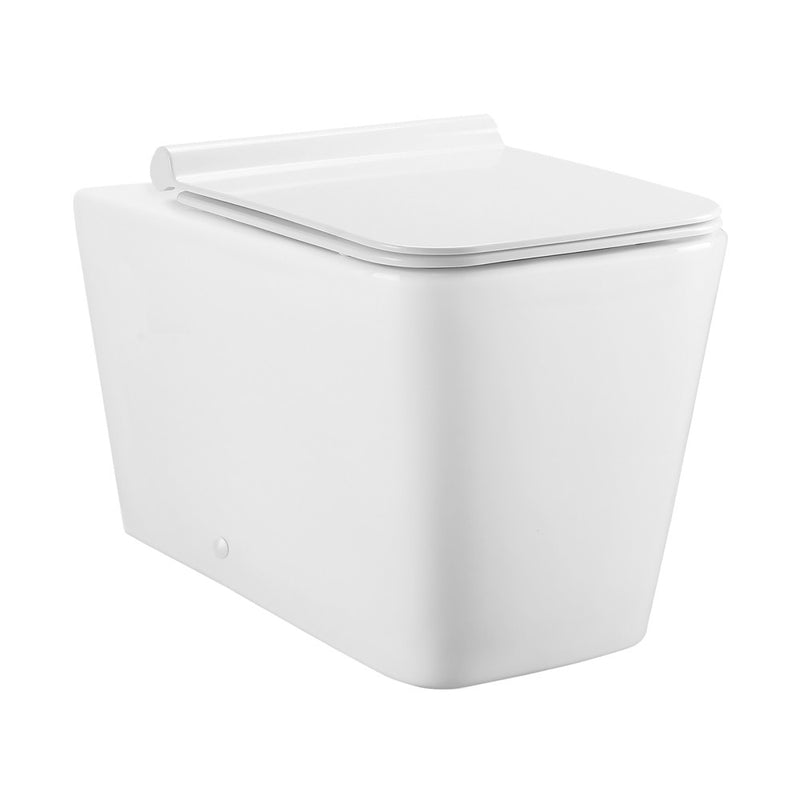 Concorde Back-to-Wall Toilet Bundle 0.8/1.6 GPF Dual Flush in Glossy White with Brass Flush Plate