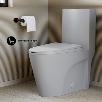 St. Tropez One-Piece Elongated Toilet Vortex™ Dual-Flush 1.1/1.6 gpf in Matte Gray