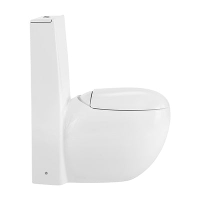 Plaisir One-Piece Elongated Toilet Dual-Flush 1.1/1.6 gpf