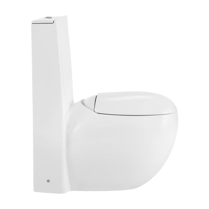 Plaisir One-Piece Elongated Toilet Dual-Flush 1.1/1.6 gpf