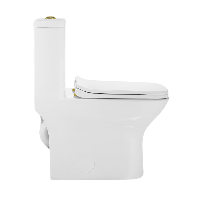 Carre One Piece Square Toilet Dual Flush, Brushed Gold Hardware 1.1/1.6 gpf