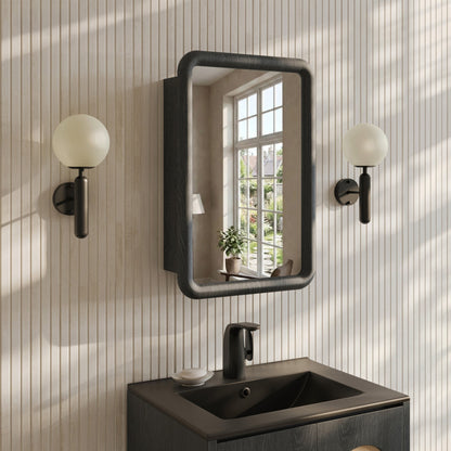 Plaisir 18 x 27 Recessed/Wall Mount Medicine Cabinet with Mirror in Black Oak