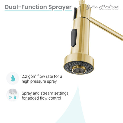 Nouvet Single Handle, Pull-Down Kitchen Faucet in Brushed Gold