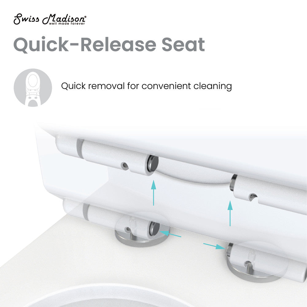Elongated one-piece toilet with dual-flush system and quick-release seat for easy cleaning.