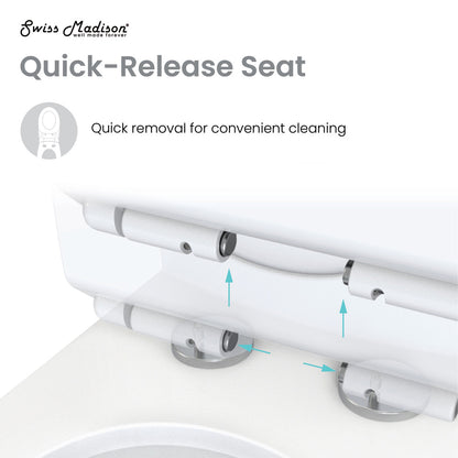Elongated one-piece toilet with dual-flush system and quick-release seat for easy cleaning.