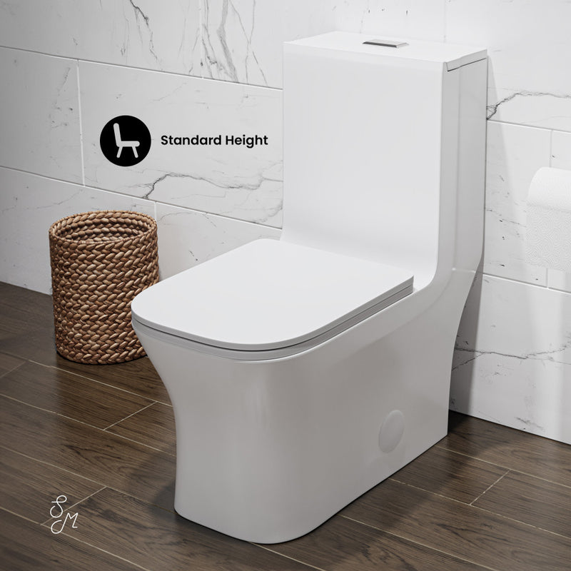 Concorde One Piece Square Toilet Dual Flush 1.1/1.6 gpf in Matte White