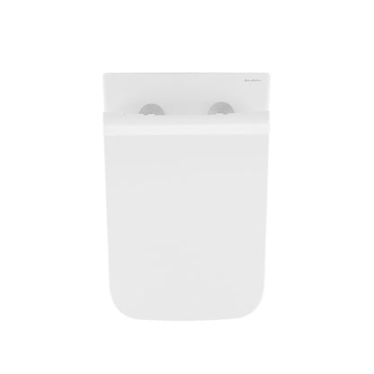 Carre Wall-Hung Toilet Bundle 0.8/1.6 GPF Dual Flush in Glossy White with Brass Flush Plate