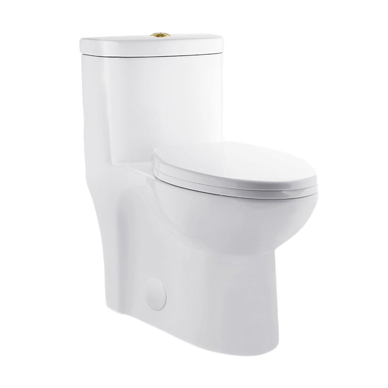 Sublime One Piece Elongated Toilet Dual Flush, Brushed Gold Hardware 1.1/1.6 gpf