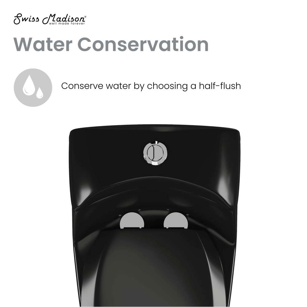 Chateau One-Piece Elongated Toilet Dual-Flush in Glossy Black 1.1/1.6 gpf