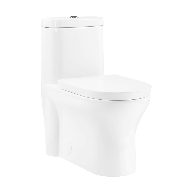 Monaco One-Piece Elongated Toilet Dual Flush 1.1/1.6 gpf with 10" Rough in