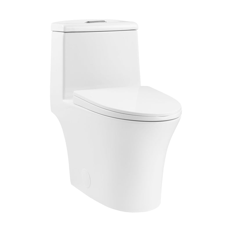 Hugo One Piece Elongated Dual Flush Toilet 1.1 / 1.6 gpf