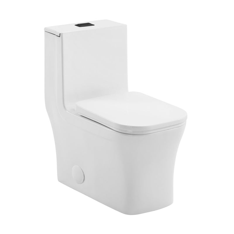 Concorde One Piece Square Toilet Dual Flush, Black Hardware 1.1/1.6 gpf