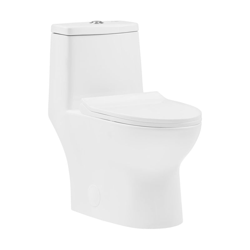 Ivy One-Piece Elongated Toilet Vortex Dual-Flush 1.1/1.6 gpf