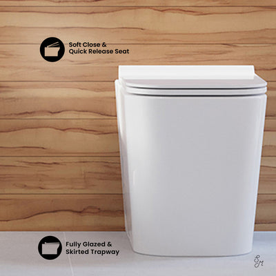 Concorde Back-to-Wall Toilet Bundle 0.8/1.6 GPF Dual Flush in Glossy White with Brass Flush Plate