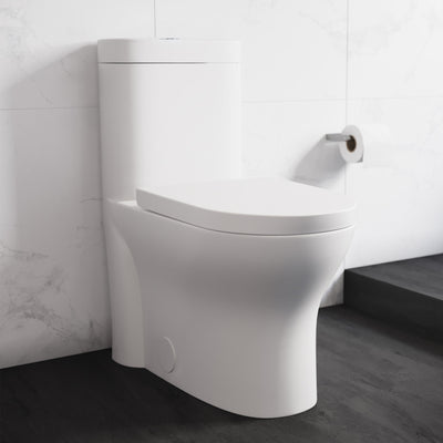 Monaco One-Piece Elongated Toilet Dual Flush 1.1/1.6 gpf with 10" Rough in