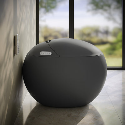 Plaisir Smart One-Piece 1.28 GPF Single Flush Toilet in Matte Gray