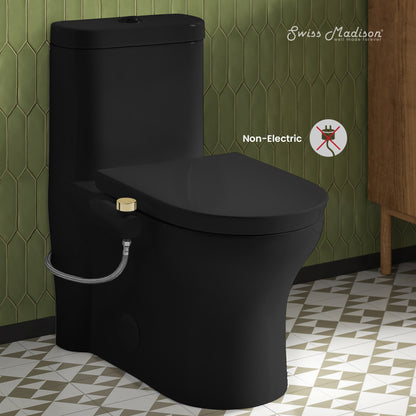 Aqua Non-Electric Bidet Toilet Attachment in Matte Black with Polished Gold Hardware