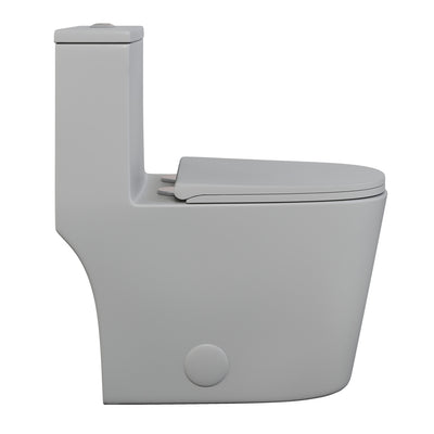 Dreux One Piece Elongated Dual Flush Toilet in Matte Grey 0.95/1.26 GPF