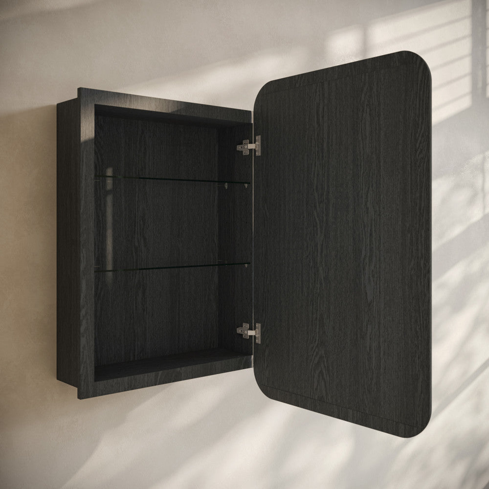 Plaisir 18 x 27 Recessed/Wall Mount Medicine Cabinet with Mirror in Black Oak