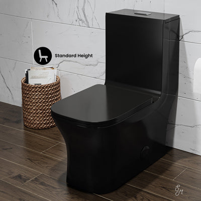 Concorde One Piece Square Toilet Dual Flush in Glossy Black 1.1/1.6 gpf