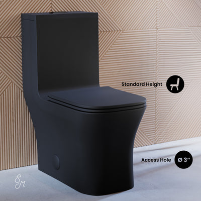 Concorde One Piece Square Toilet Dual Flush in Matte Black, Black Hardware 1.1/1.6 gpf