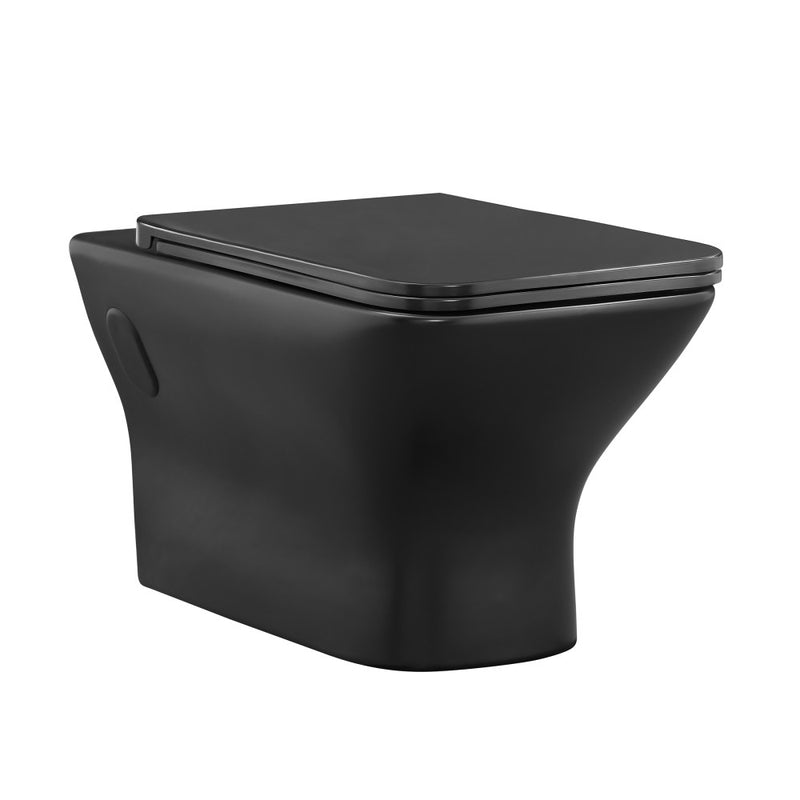 Carre Wall-Hung Toilet Bundle 0.8/1.6 GPF Dual Flush in Matte Black with Brass Flush Plate