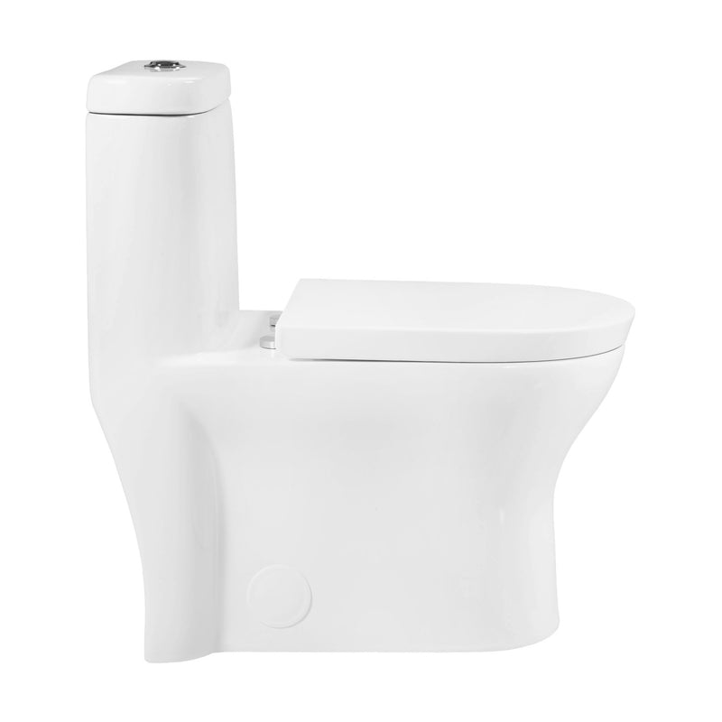 Monaco One-Piece Elongated Toilet Dual Flush 1.1/1.6 gpf with 10" Rough in