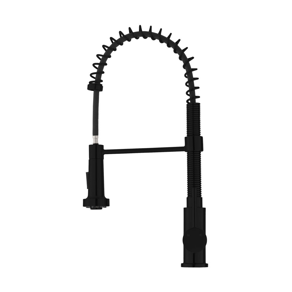 Pull-down kitchen faucet in matte black, single handle with spring coil spout and pull-down spray head.