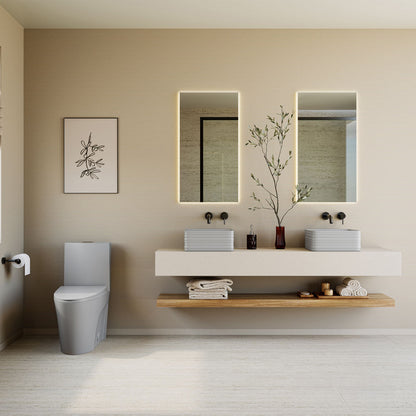 St. Tropez One-Piece Elongated Toilet Vortex™ Dual-Flush 1.1/1.6 gpf in Matte Gray