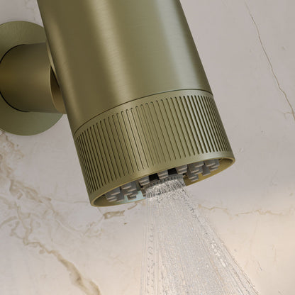 Lumiere 2-Spray Patterns 2.5 GPM Wall Mount Fixed Shower Head in Brushed Gold
