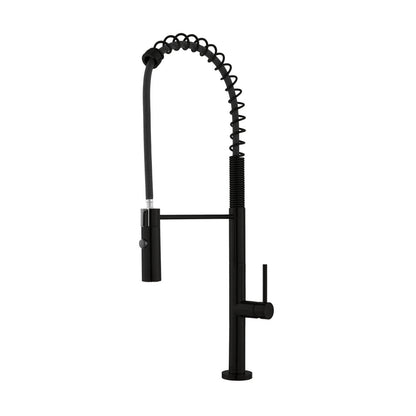 Pull-down kitchen faucet in matte black, single handle, high-arc spring design.