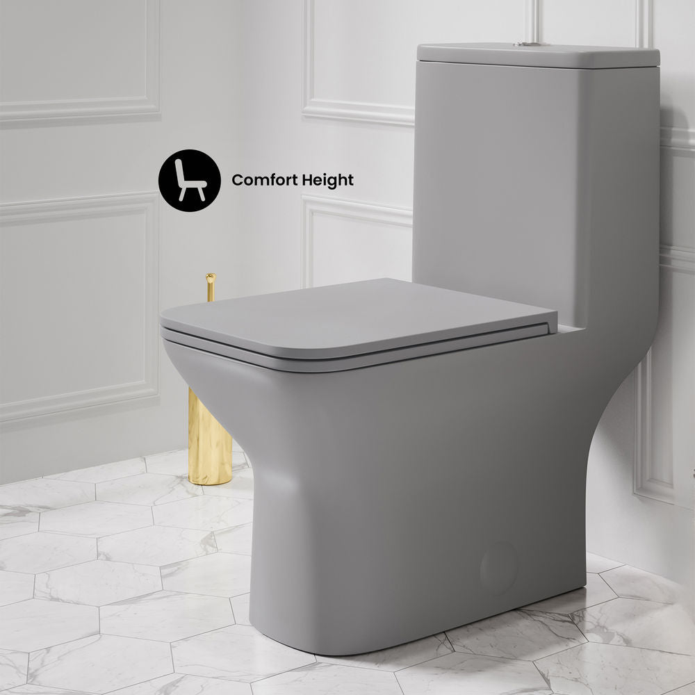 Carre One-Piece Square Toilet Dual-Flush in Matte Gray1.1/1.6 gpf