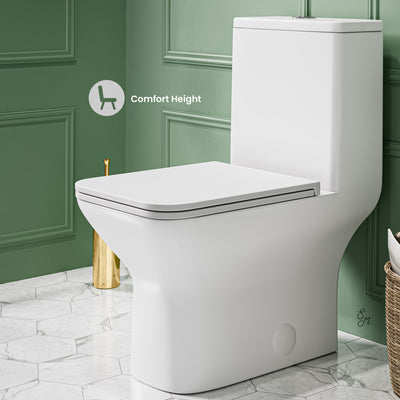 Carre One Piece Square Toilet Dual Flush 1.1/1.6 gpf in Matte White