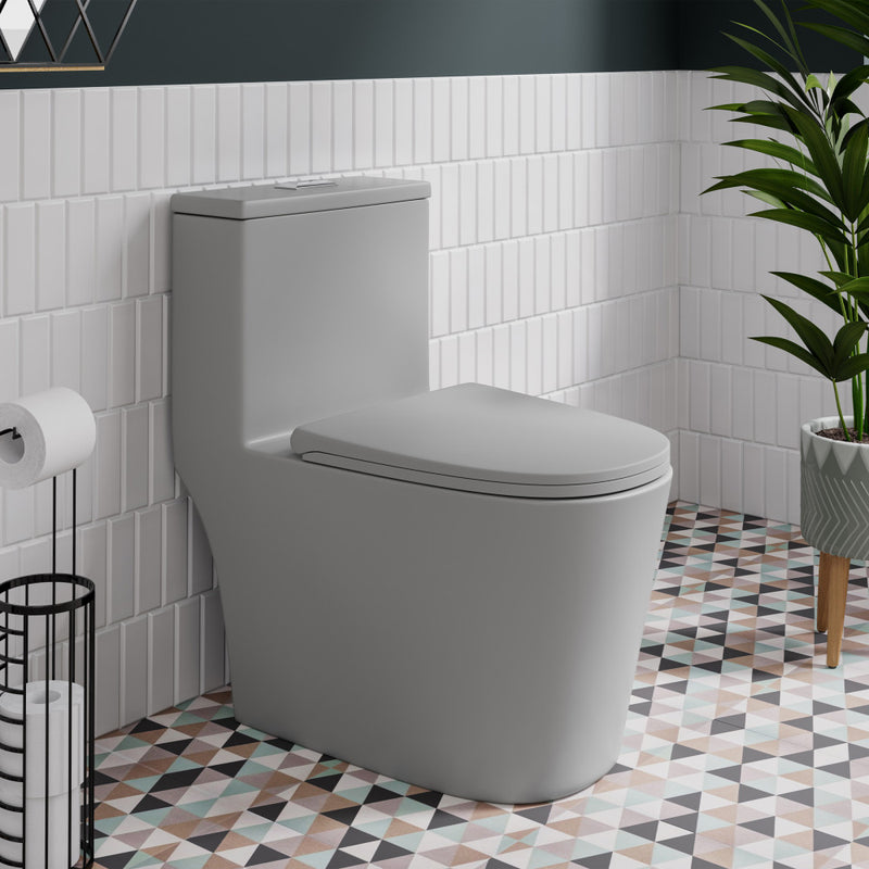 Dreux One Piece Elongated Dual Flush Toilet in Matte Grey 0.95/1.26 GPF