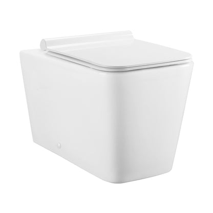 Square back-to-wall toilet bowl, compact design, soft-close seat.