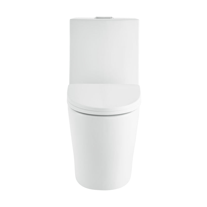 St. Tropez One-Piece Elongated Toilet Vortex Dual-Flush in Matte White 1.1/1.6 gpf