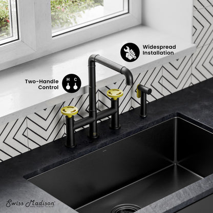 Avallon Pro Kitchen Faucet in Matte Black & Yellow
