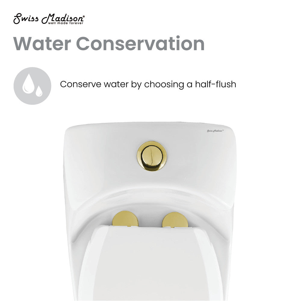 Elongated one-piece toilet with dual flush and brushed gold hardware.