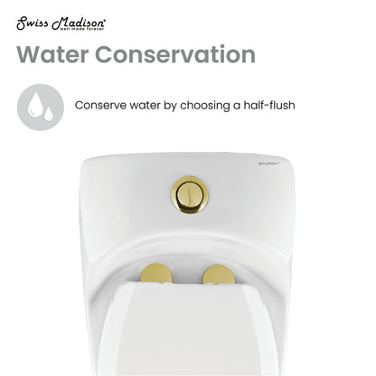 Elongated one-piece toilet with dual flush and brushed gold hardware.