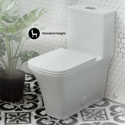 Eclair One-Piece Square Toilet Dual-Flush 0.8/1.28 gpf