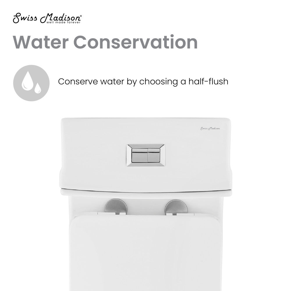 Elongated one-piece toilet, dual flush, white ceramic, 10-inch rough-in.