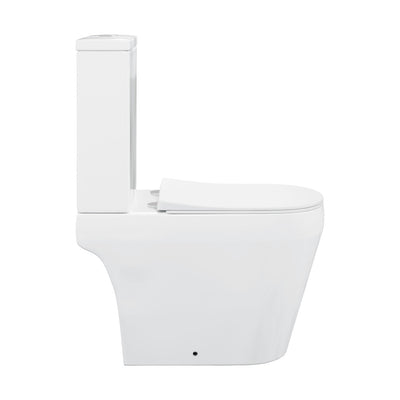 Lamarck Two-Piece Elongated Toilet Dual-Flush 1.1/1.6 gpf