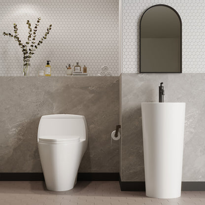 Elongated one-piece toilet with dual-flush and soft-close seat in modern bathroom setting.