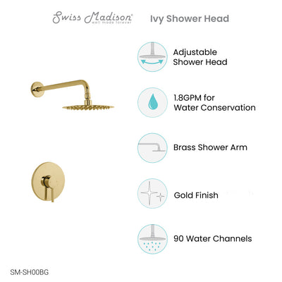 Ivy Single-Handle 1 Spray 8" Wall Mounted Fixed Shower Head in Brushed Gold (Valve Included)