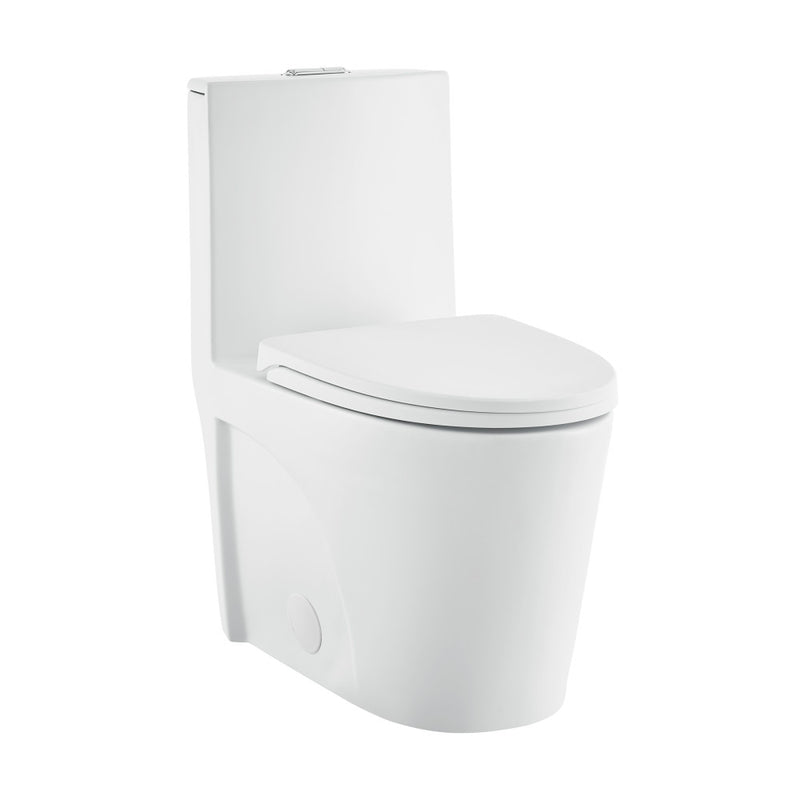 St. Tropez One-Piece Elongated Toilet Vortex Dual-Flush in Matte White 1.1/1.6 gpf