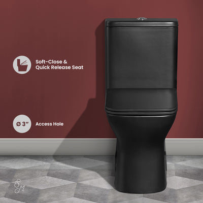 Carre One-Piece Square Toilet Dual-Flush in Matte Black 1.1/1.6 gpf